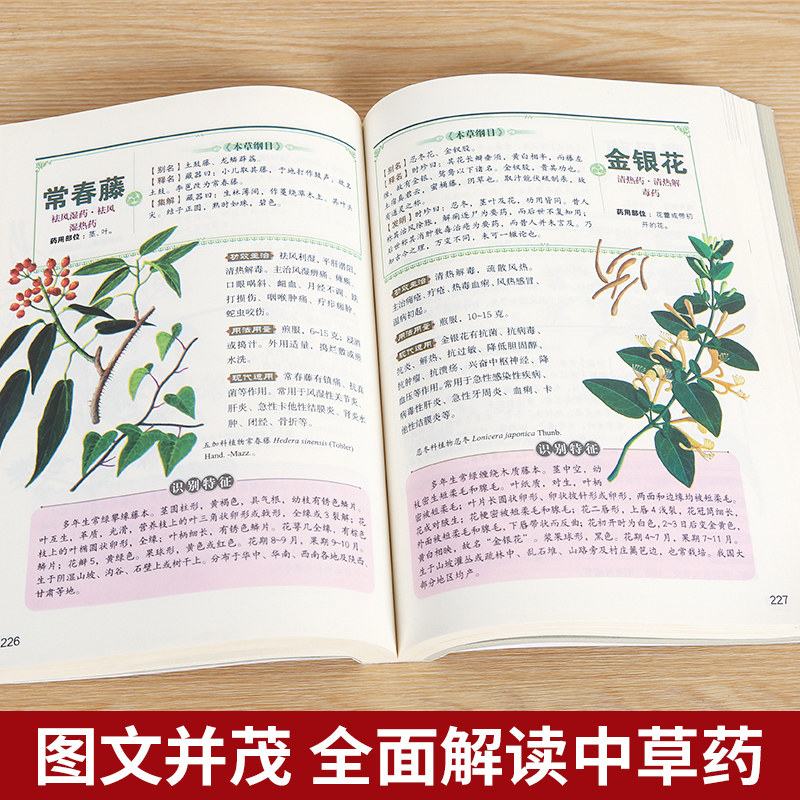 本草纲目原文白话文 养生药材配图