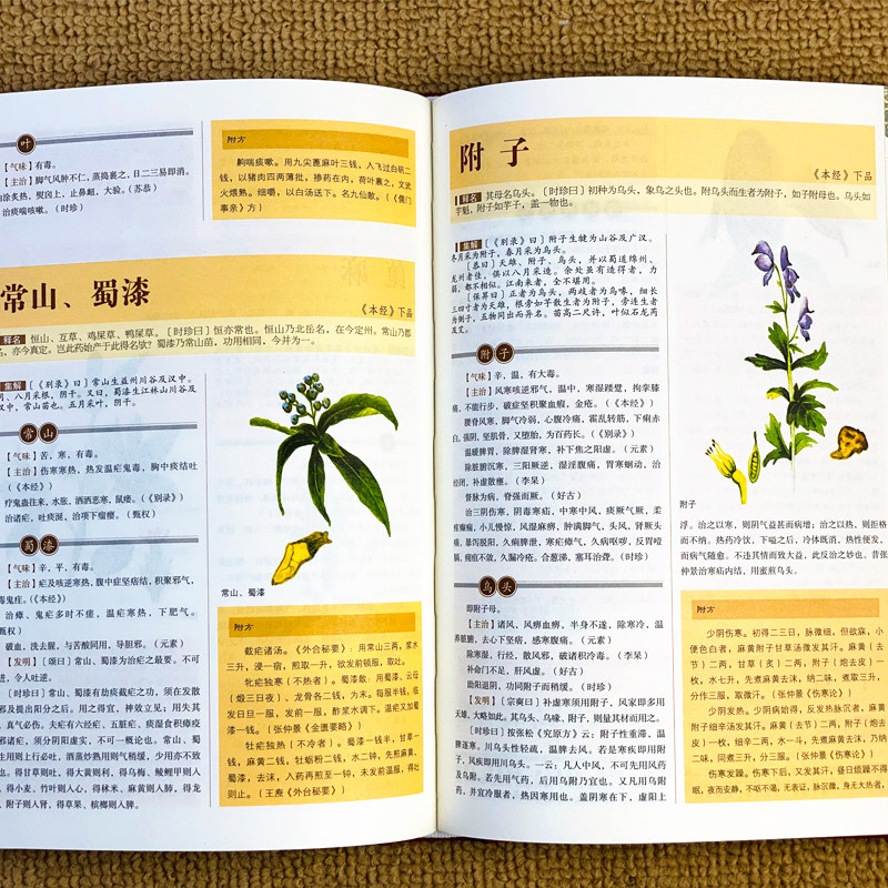 本草纲目完整版原文白话文对照解读 内页配图