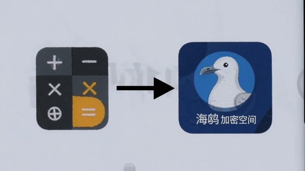 一部安卓手机屏幕显示海鸥加密空间的伪装图标设置界面,画面中手机桌面上有一个计算器图标,旁边有箭头指向海鸥加密空间的真实图标,背景为浅灰色,风格简洁直观,细节清晰,画质干净