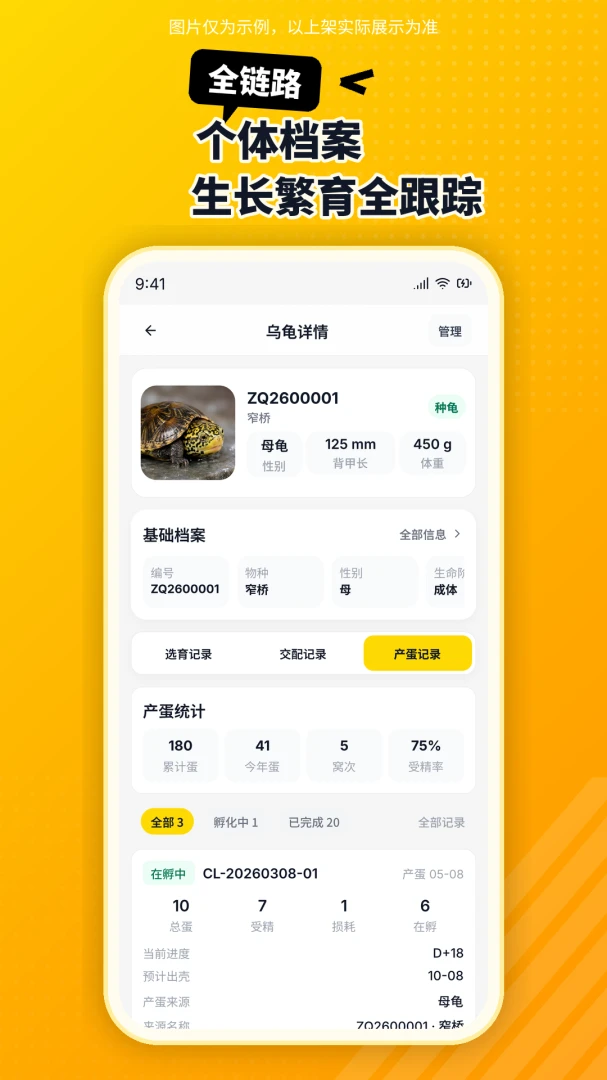 ������1.6.0 ������¼����