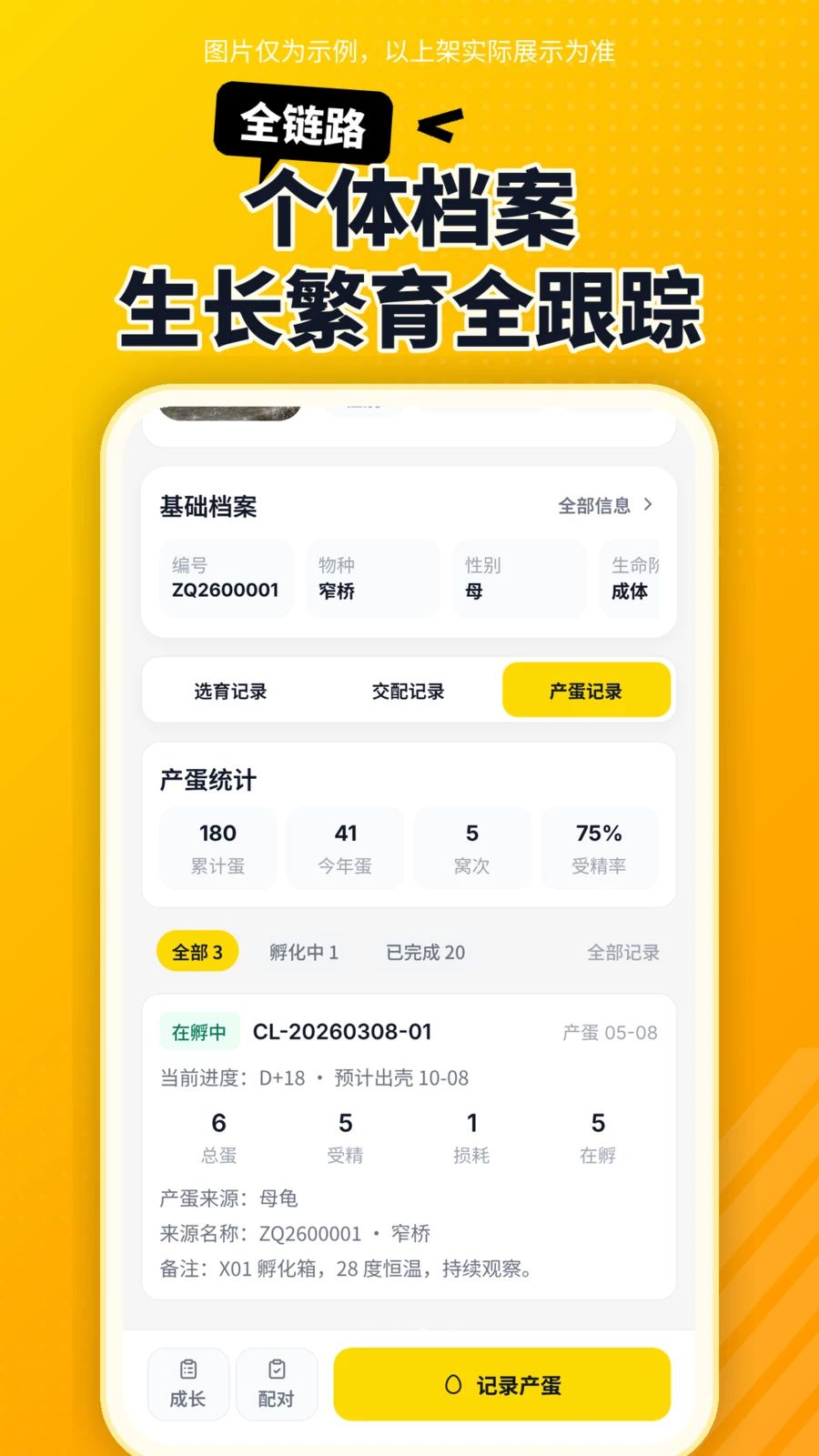 ������1.6.0 ������¼����