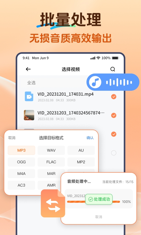 Viwoo��Ƶ��ʽת����2.2.3 ��Ƶת������