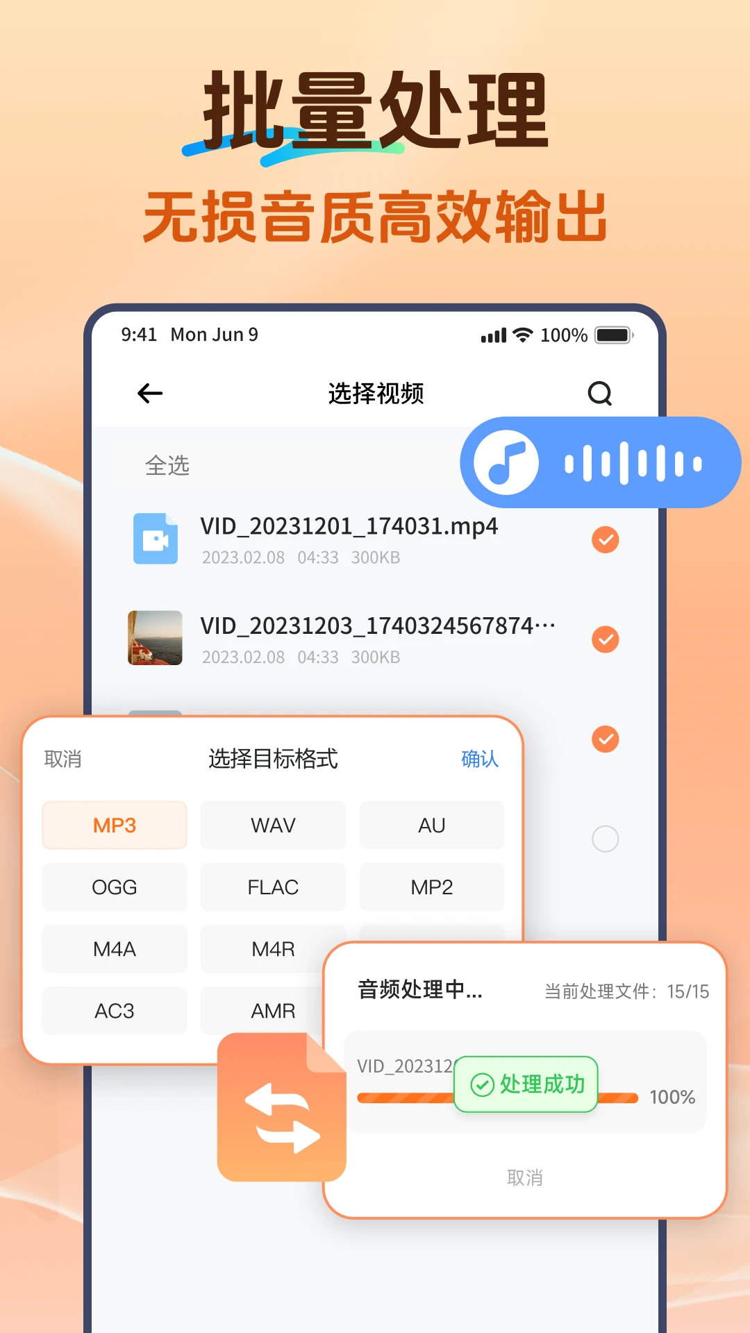 Viwoo��Ƶ��ʽת����2.2.3 ��Ƶת������