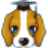 �ջ�PP