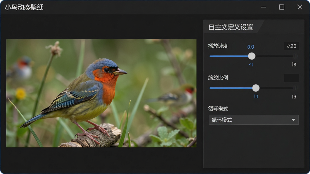 一张展示小鸟动态壁纸自定义设置面板的界面图,主体为软件窗口中的自定义参数调节区域,包含播放速度滑块、缩放比例滑块、循环模式下拉菜单等控件;布局为左侧预览窗口,右侧参数面板;排版规整;风格为深色专业风;细节为面板顶部有“小鸟动态壁纸”标题,预览窗口中显示用户导入的视频壁纸画面,参数滑块带有数值标签;画质为高清,干净,无多余元素