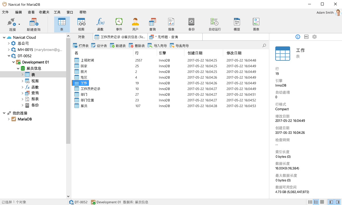 Navicat for MariaDB 操作界面 截图