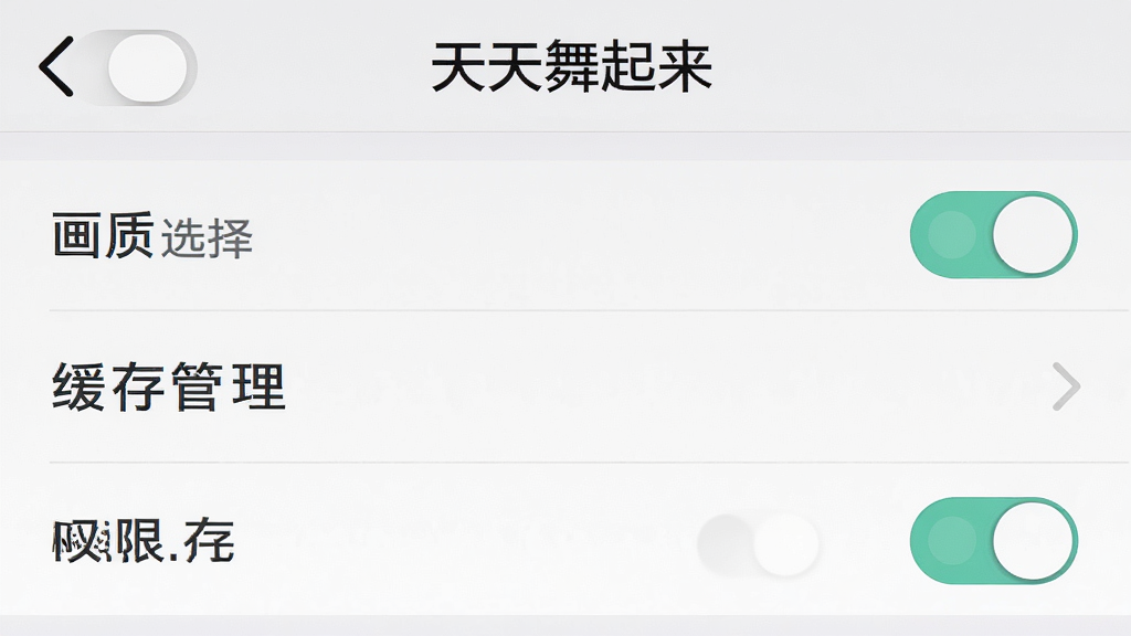 一张手机界面截图风格的图片,展示“天天舞起来”的设置页面,包含画质选择、缓存管理、权限开关等选项,界面清晰,背景为浅灰色,风格实用,细节包括切换按钮和文字标签,画质高清,干净,无多余元素