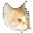 �������ƴ����ѯ��