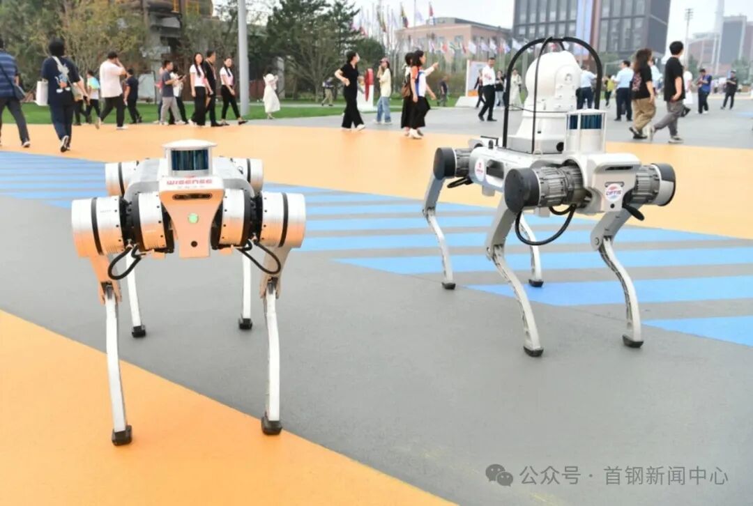 金属狗智能机器人多场景应用实拍图