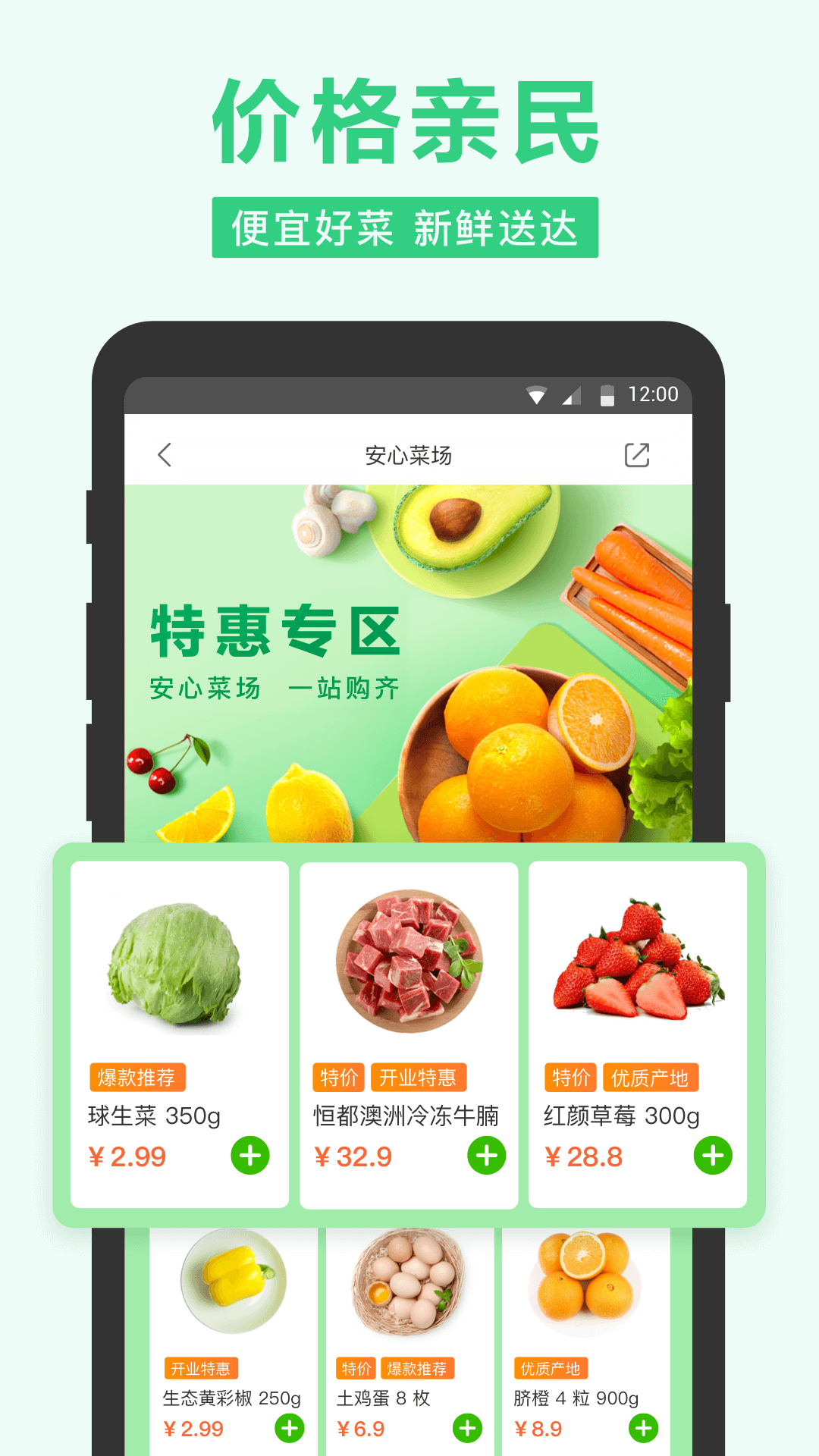 小帮菜分拣APP 安卓版 界面