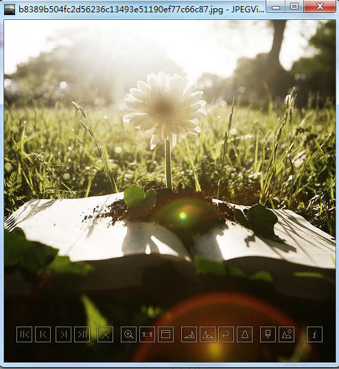 JPEGView{package_version_name} ���ٿ�ͼ����