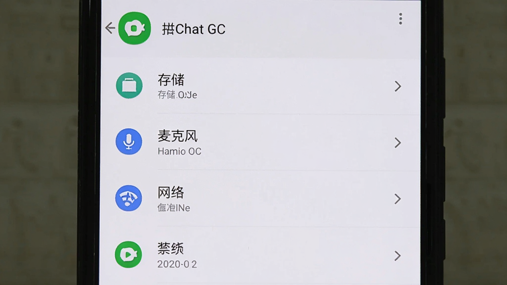 一张展示手机应用权限管理界面的图片,屏幕中显示Chat GC应用的权限列表,包括“存储”、“麦克风”、“网络”等选项,界面清晰,背景为系统默认的浅色主题,风格实用,画质干净,无多余元素