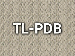 TL-PDB���׽�������ƽ�����Ӧ��ǰ��