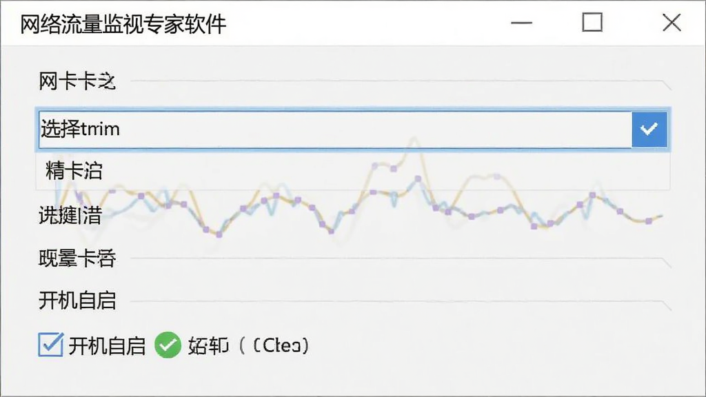 网络流量监视专家软件设置界面截图,画面展示网卡选择下拉菜单和开机自启选项,界面布局清晰,有中文标签说明,整体风格简洁,画质清晰