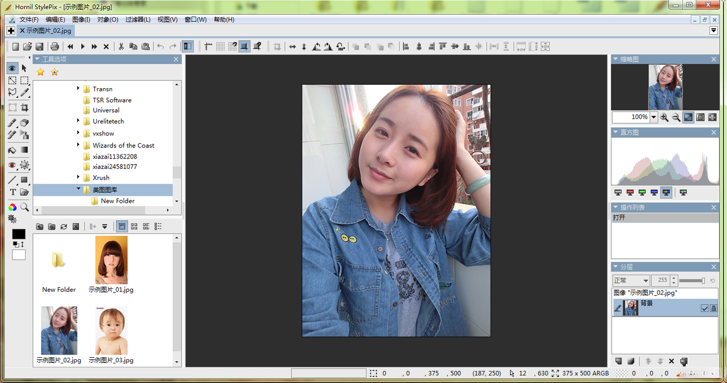 Hornil StylePix�������ͼ��༭��{package_version_name} ������ͼ����