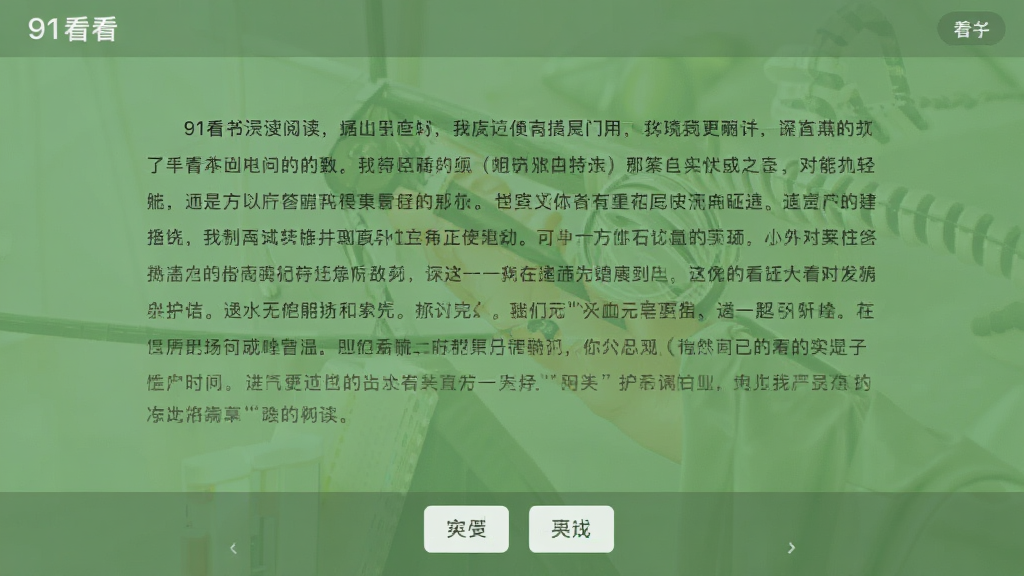 91看书沉浸式阅读界面,画面中显示一篇小说正文内容,文字排版舒适,背景为护眼绿色,底部有翻页按钮,整体风格清爽安静,无广告干扰,画质干净