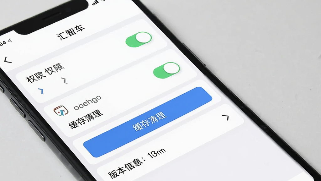 主体为手机屏幕展示“汇智车”设置页面,布局为纵向列表式排列,风格为简洁实用风,细节上包含权限开关、缓存清理按钮和版本信息,画质高清干净无多余元素