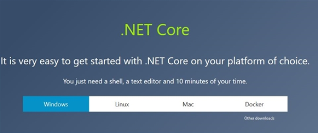 Microsoft .NET Core 运行界面截图