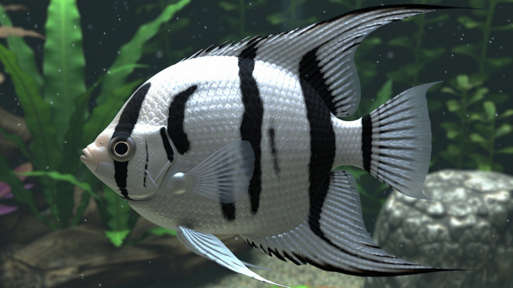 画面主体为Dream Aquarium软件中的一条神仙鱼特写,鱼身银白色带有黑色条纹,鱼鳍舒展,背景是模糊处理的水草和造景石,布局采用居中构图,鱼头朝向左侧,风格为超写实3D渲染,细节包括鱼鳞的金属光泽、鳃盖的细微动作、水中的悬浮微粒,画质为8K超高清,画面干净无多余元素,无文字