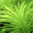 Dream Aquarium�λ�ˮ����