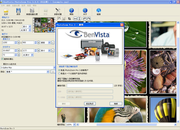 PhotoZoom ProͼƬ����Ŵ�����2026�� ͼƬ����Ŵ�
