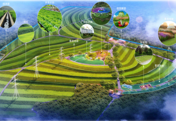 兴兴象农现代农业发展新模式助力乡村振兴 基地实景