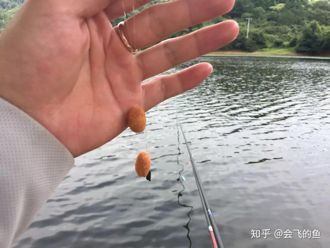 友饵水库野钓实战饵料状态