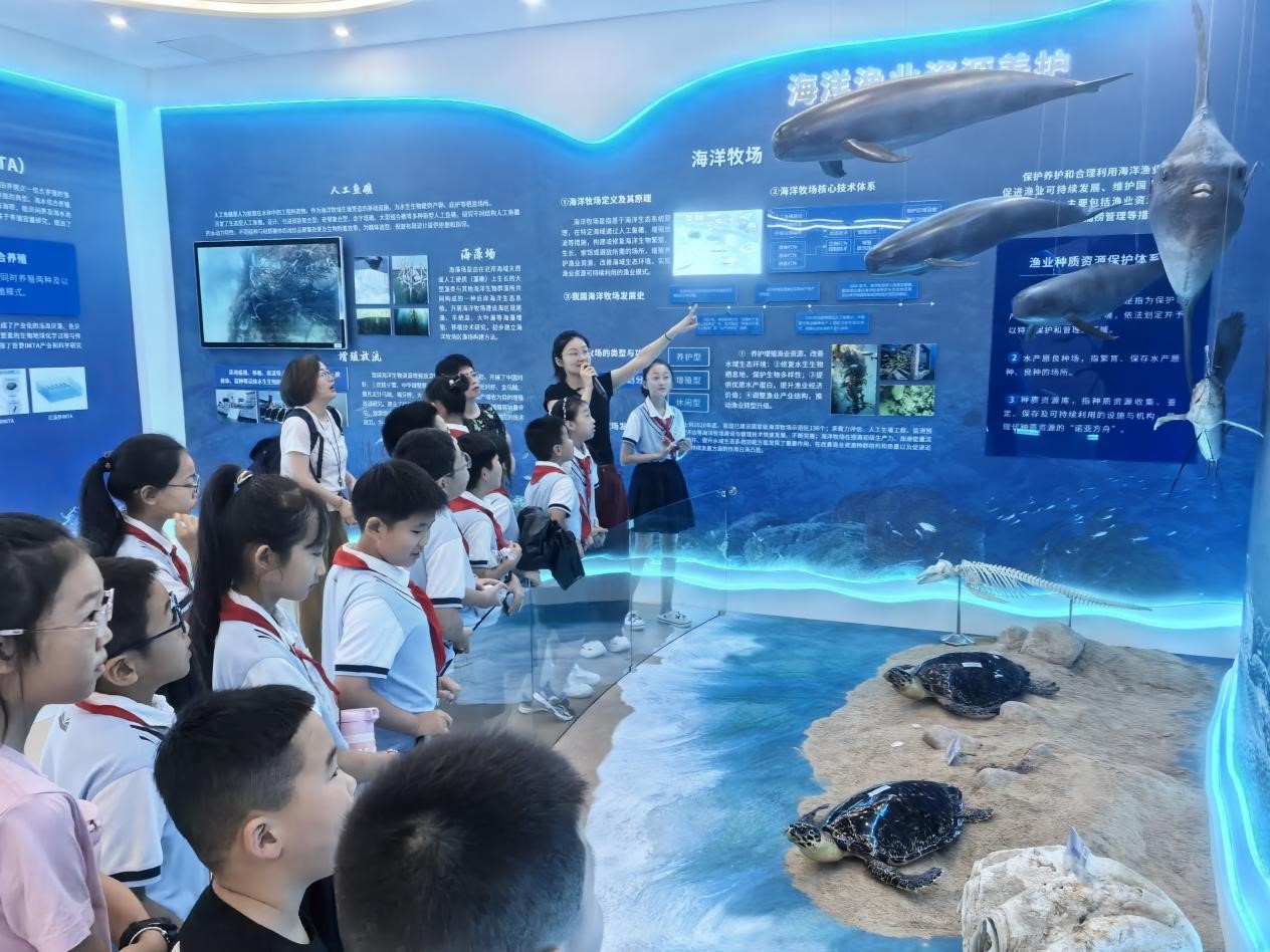 Blue Explorer蓝色探索者研学营孩子观察海洋生物