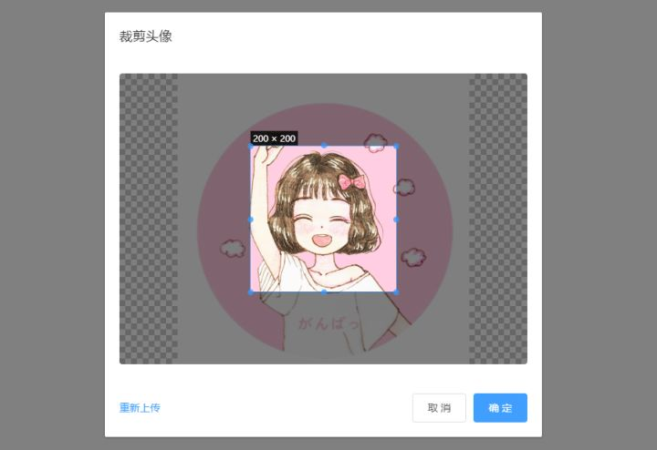 网络标准头像采集工具自动裁剪头像效果展示