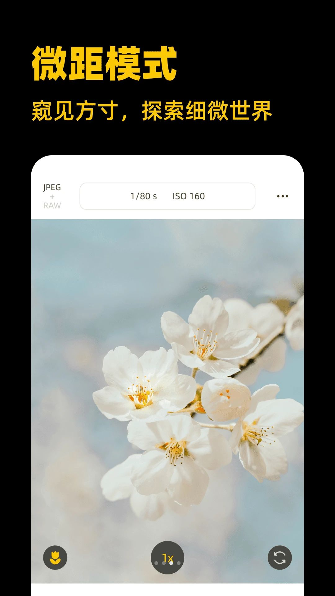 ��Լ3.2.5 �罻���콻��