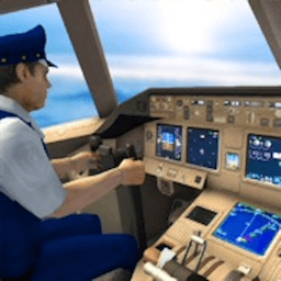 ����ģ����Flight Simulator