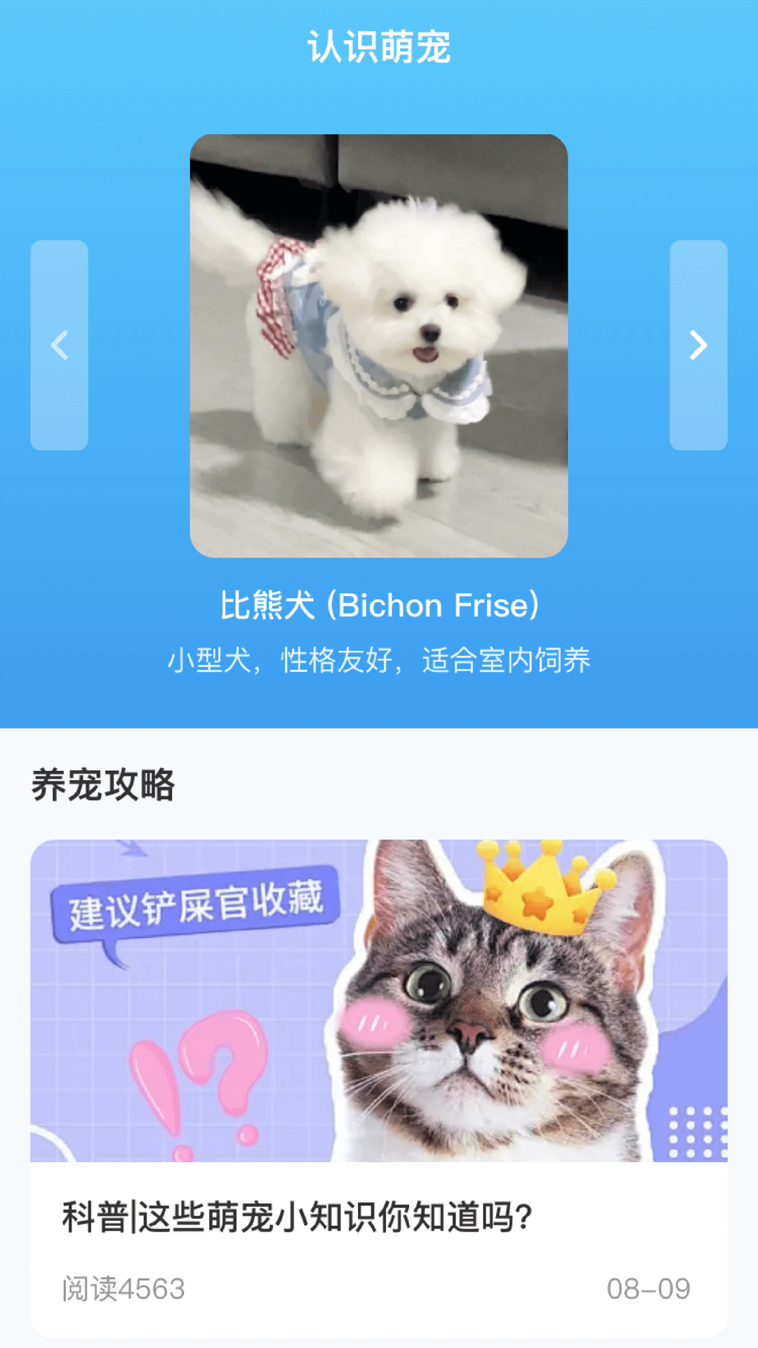逗号家族-萌宠交友 安卓版 操作界面截图