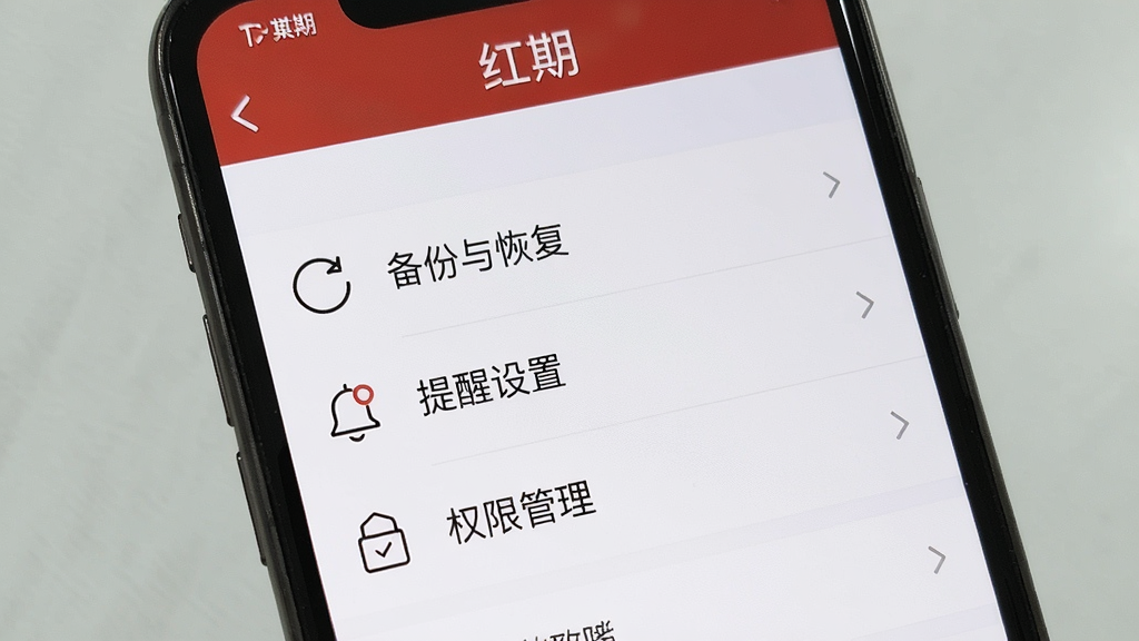 一张手机屏幕显示红期应用设置页面的图片,画面中包含“备份与恢复”“提醒设置”“权限管理”等选项,顶部有“红期”文字,布局为分组列表,风格简洁,细节上图标为线性风格,画质干净无多余装饰