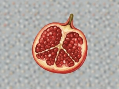 ʯ���Ƽ�����������Դ�Ƽ���ʹ��ָ��