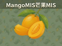 MangoMISâ��MISϵͳ������ʹ��ָ��