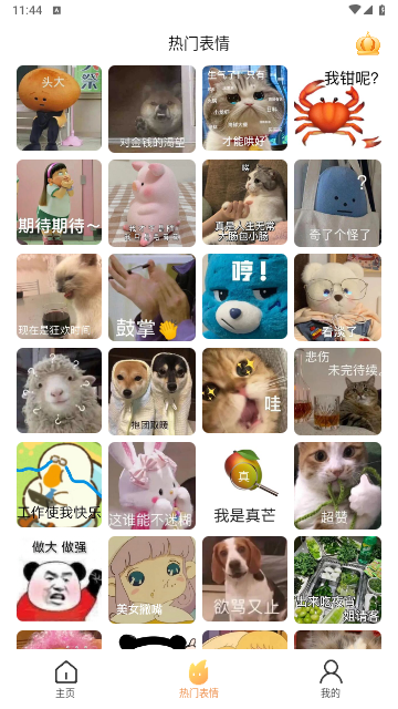 表情包斗图大师 安卓版 界面截图