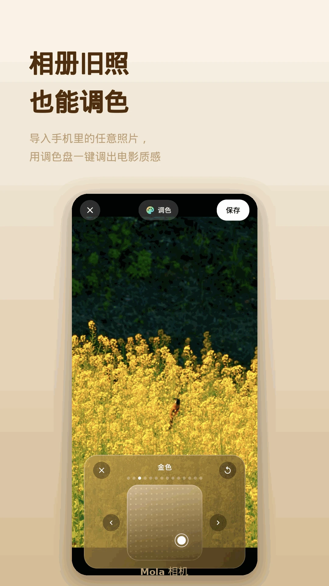 Mola���2.8 ������ͼ