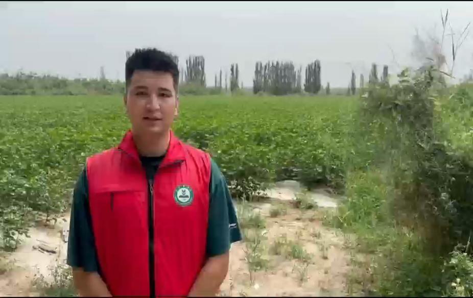 王旗与沃土 返乡青年种地故事 浏览器查种植技术