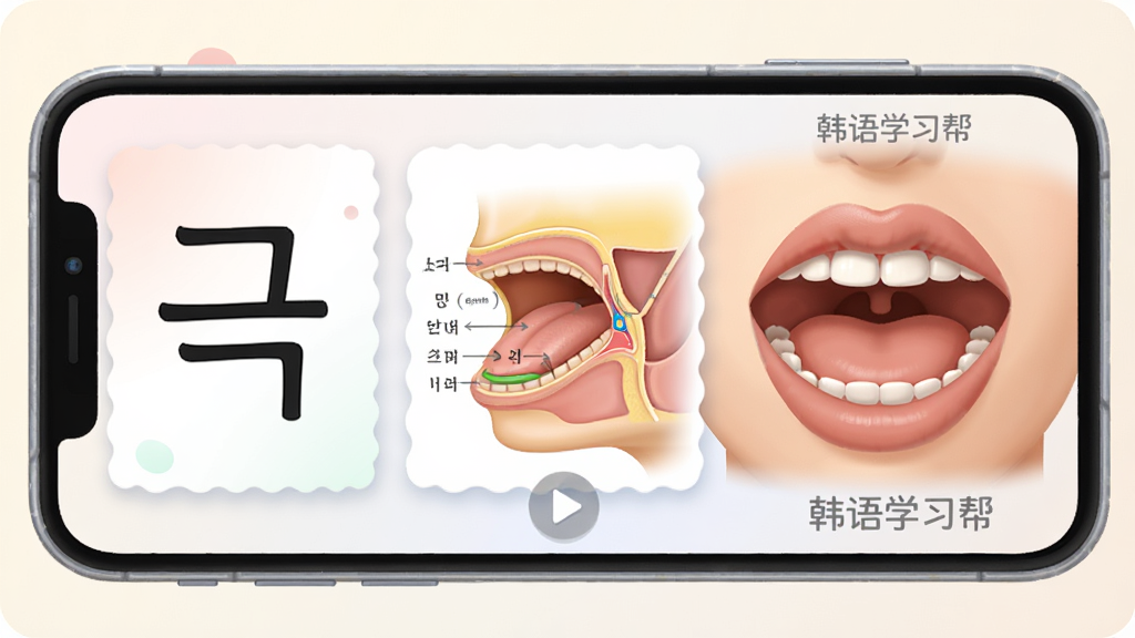 一张展示韩语发音学习场景的图片,主体为手机屏幕显示韩语字母“”及发音口型剖面图,布局为左侧字母卡片右侧口型动画,风格为教育类插画风,细节包括柔和的色彩渐变、清晰的舌位标注与播放按钮,画质高清干净,画面中带有“韩语学习帮”文字