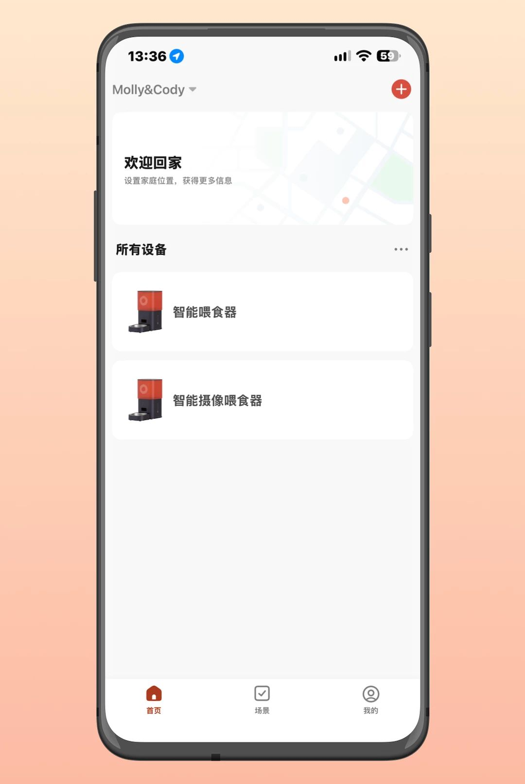 Molly&Cody Smart1.2.0 ���ܴ�������
