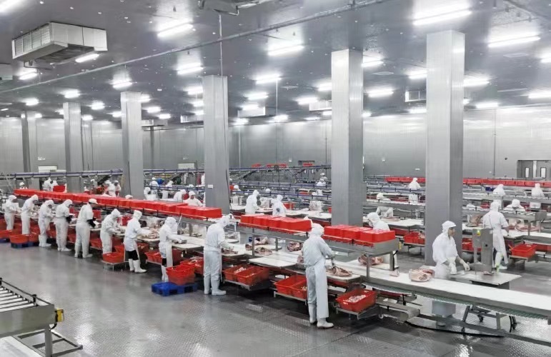 农垦集产业链延伸加工车间实拍