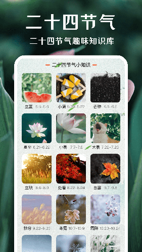 美丽花 安卓版 拍照识花界面截图