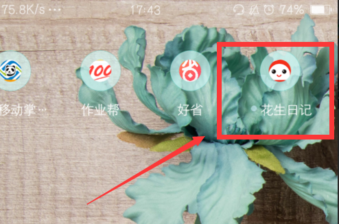 花生日记 安卓版 账户设置页面截图