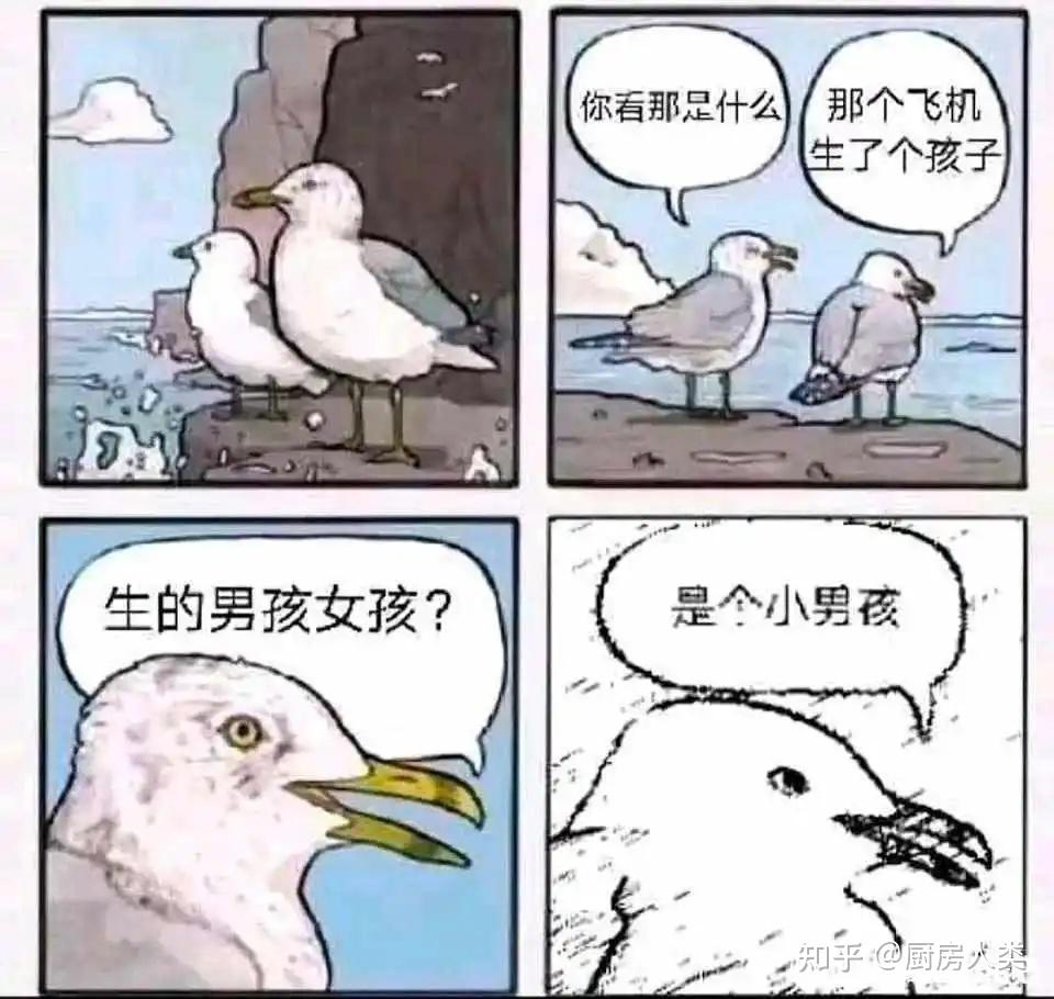 海鸥推手表情包怎么火起来的 海鸥推手传播过程配图