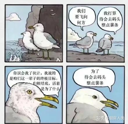 海鸥推手表情包原图 海鸥推手聊天斗图用法配图