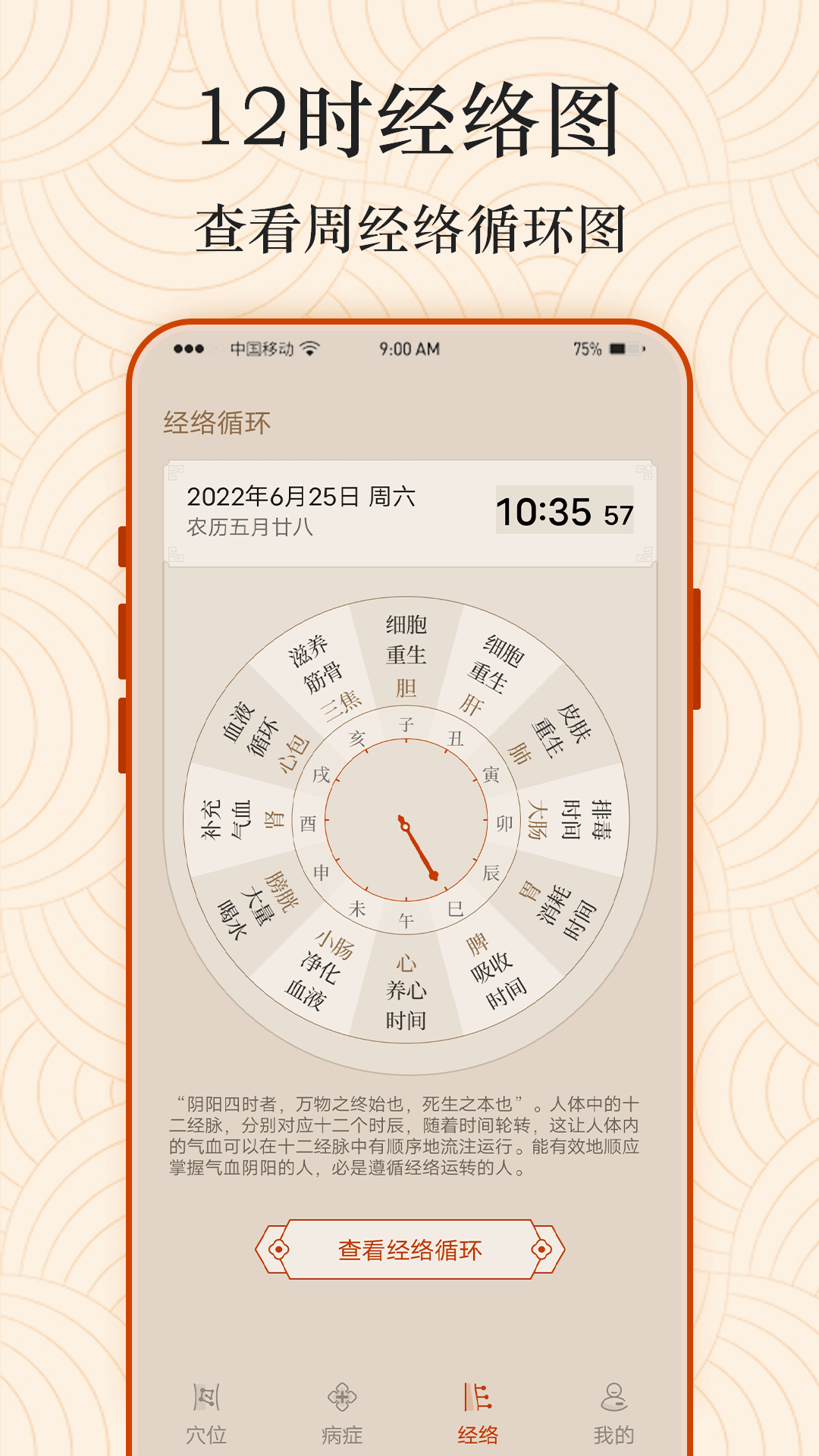 经络养生 安卓版 经络时钟界面截图