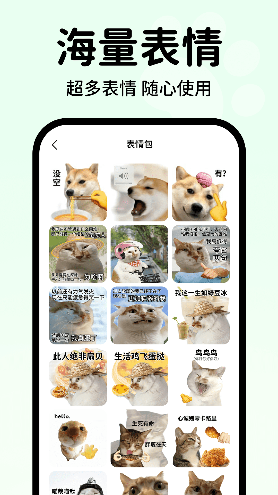 动物语言翻译助手 铲屎官使用宠物翻译软件场景 手机对着猫咪