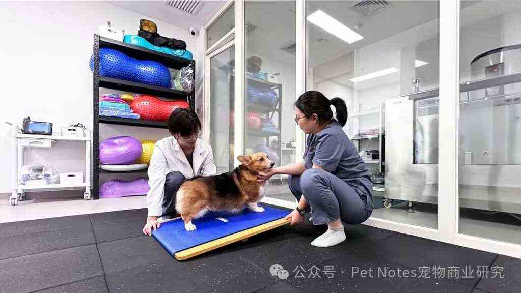 好宠医靠谱宠物医院检查设备诊断