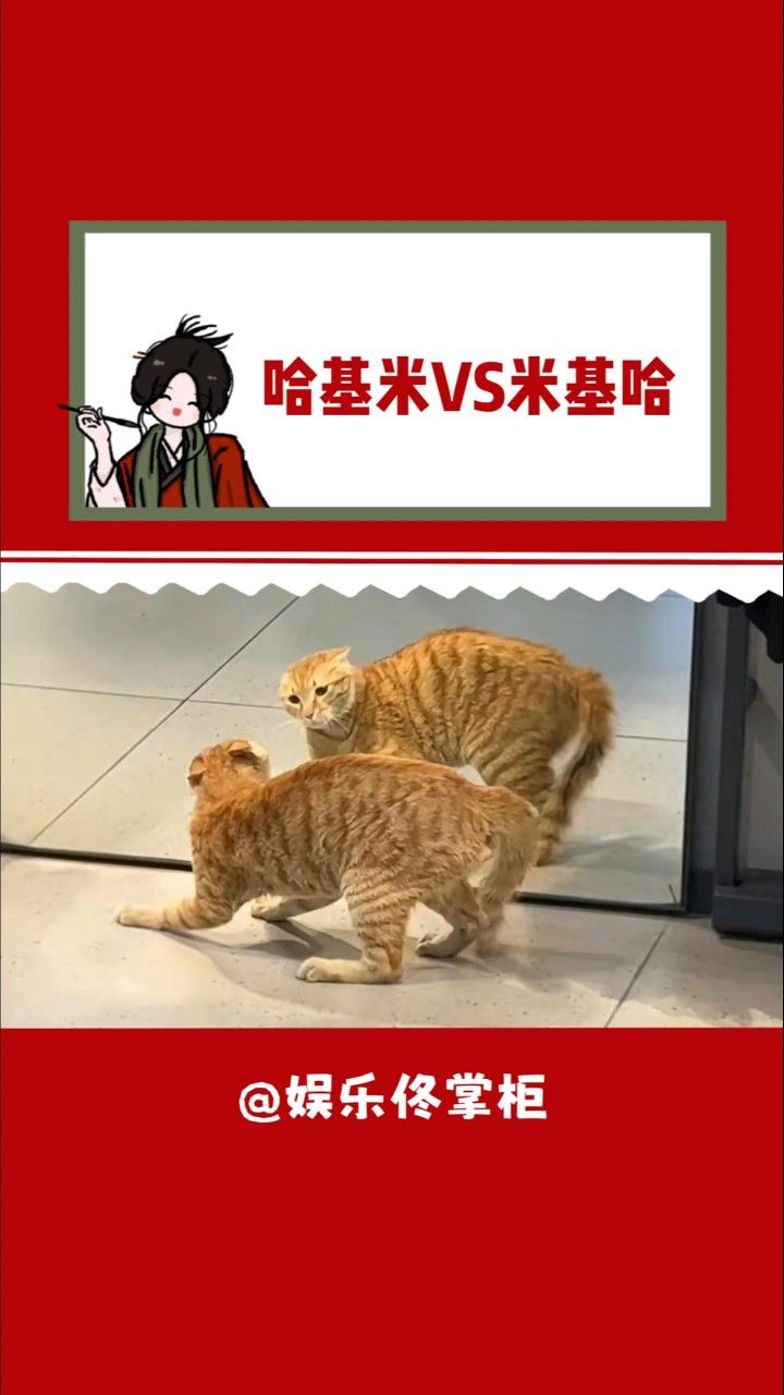 基米vs大狗(基米vs大狗网页版) 角色选择界面 基米和大狗对战画面
