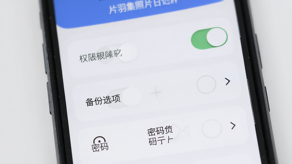 片羽集照片日记软件新手操作指引图,画面为手机屏幕显示软件设置界面,包含权限开关、备份选项、密码锁入口等,界面布局清晰,风格简洁易用,细节上图标明确、文字可读,画质高清,背景为浅灰色,无多余元素